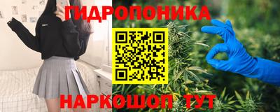 индика Мариинск